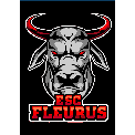 ELITE SPORTING CLUB FLEURUS